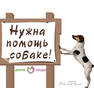Диана (10)