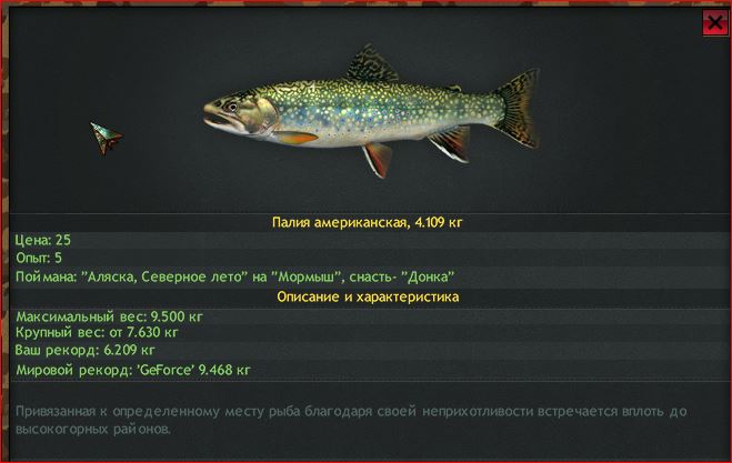 Палия русификатор. Палия игра. палия мморпг. рыба палия фото и описание. американская палия.