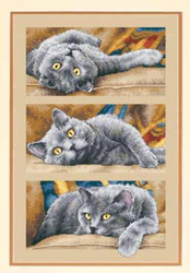 T1ZFpuFhNcXXXXXXXX !!2-item pic.png 250x250