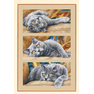 T1ZFpuFhNcXXXXXXXX !!2-item pic.png 250x250