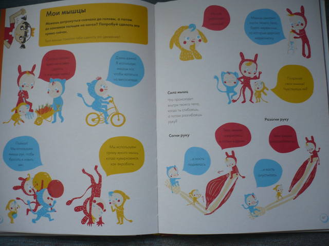 VFL.RU - ваш фотохостинг