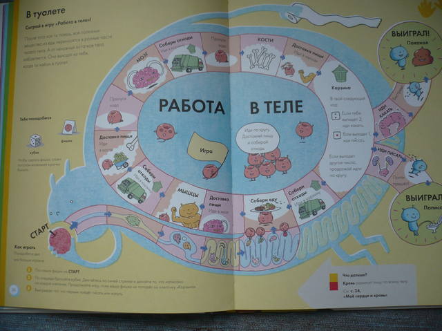 VFL.RU - ваш фотохостинг