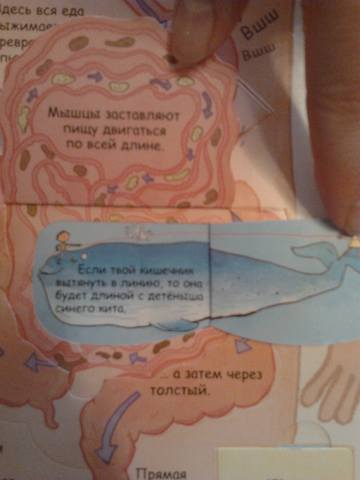 VFL.RU - ваш фотохостинг