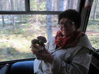 VFL.RU - ваш фотохостинг