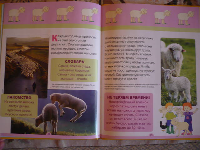 VFL.RU - ваш фотохостинг