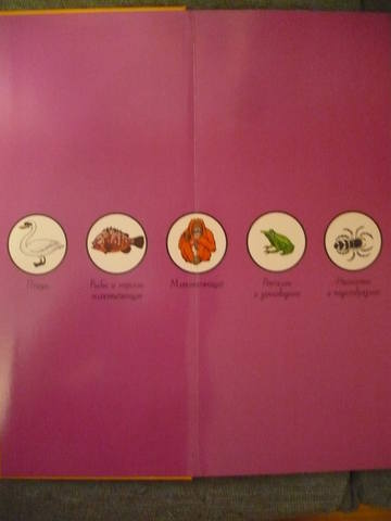 VFL.RU - ваш фотохостинг