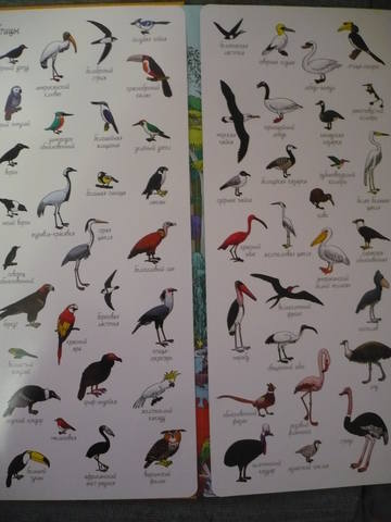 VFL.RU - ваш фотохостинг