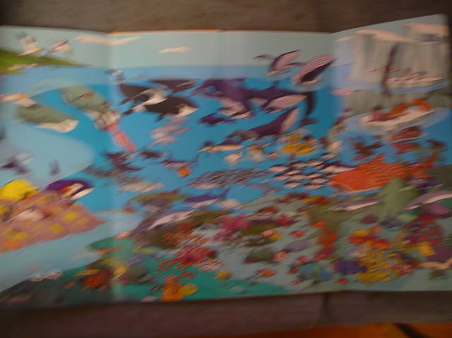 VFL.RU - ваш фотохостинг