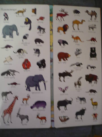 VFL.RU - ваш фотохостинг