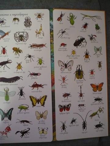 VFL.RU - ваш фотохостинг