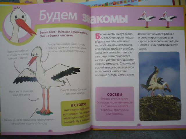 VFL.RU - ваш фотохостинг