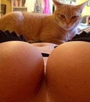 котосиськи