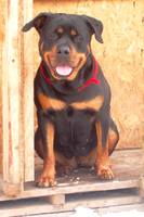 VFL.RU - ваш фотохостинг