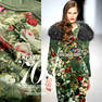 T1xX5IFfVXXXXXXXXX !!0-item pic.jpg 250x250