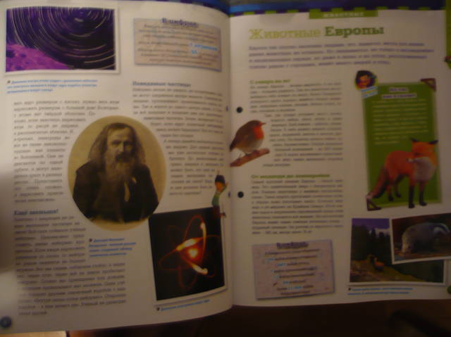 VFL.RU - ваш фотохостинг