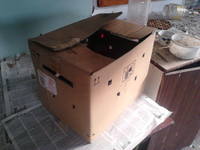 VFL.RU - ваш фотохостинг