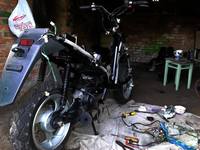 VFL.RU - ваш фотохостинг