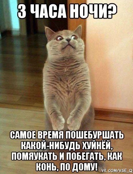 коте
