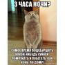 коте