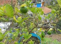 VFL.RU - ваш фотохостинг