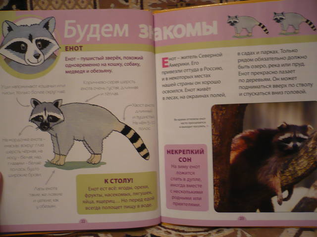 VFL.RU - ваш фотохостинг