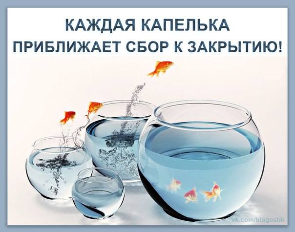 http://images.vfl.ru/ii/1381489553/6441d2c6/3275435_m.jpg