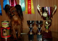 VFL.RU - ваш фотохостинг