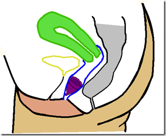 image thumb6