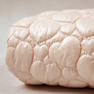 T1yn9WFjNjXXXXXXXX !!0-item pic.jpg 250x250
