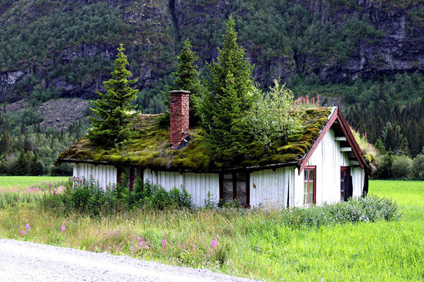 Norway-roof Nebesnoe info 01