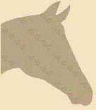 horse1shapez
