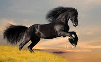 T1xKxAXApdXXXXXXXX !!0-item pic.jpg 250x250