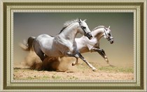 T13C4mFnxcXXXXXXXX !!0-item pic.jpg 210x210