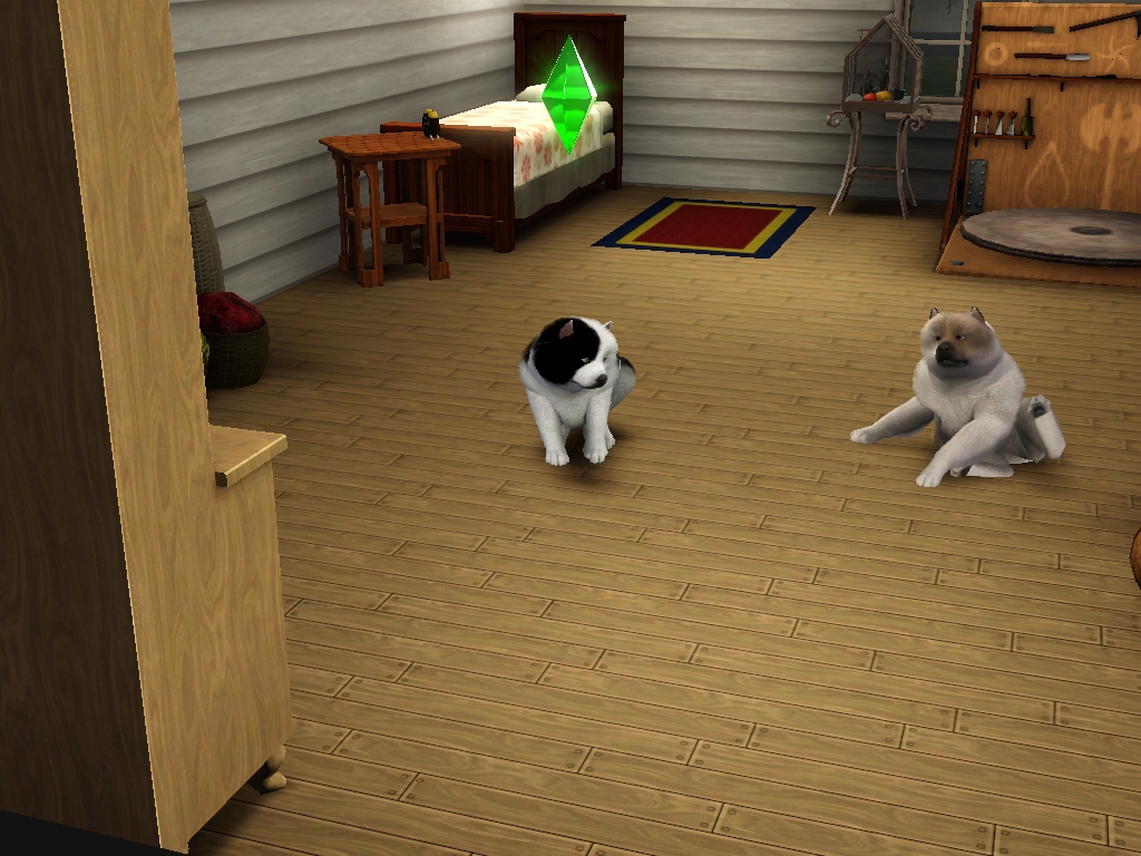 Screenshot-5