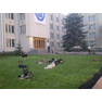 Фото0269 новый размер