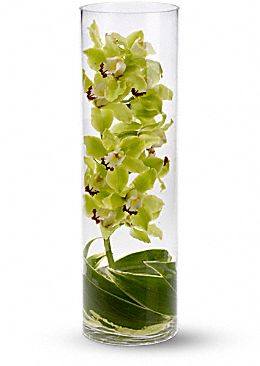 Orhideya-v-vaze