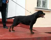 VFL.RU - ваш фотохостинг