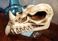 babbington dragon skull