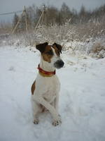 VFL.RU - ваш фотохостинг