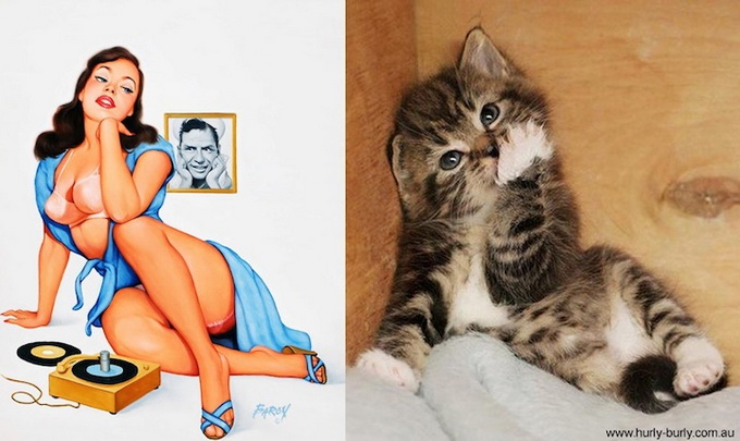 catsthatlooklikepinupgirls06
