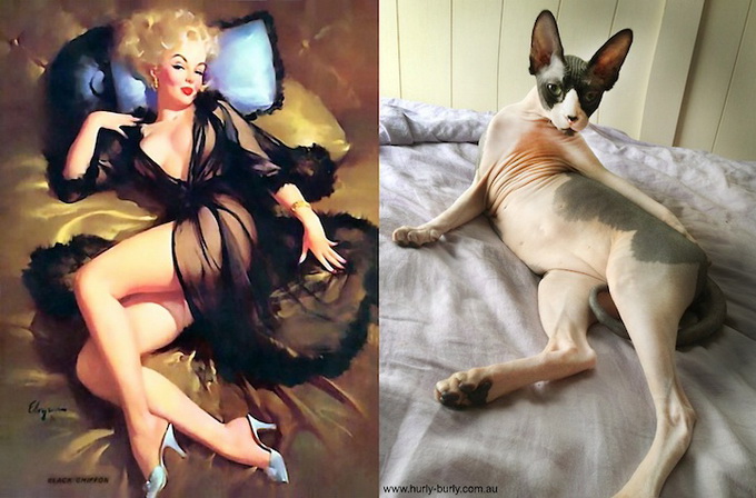 catsthatlooklikepinupgirls01