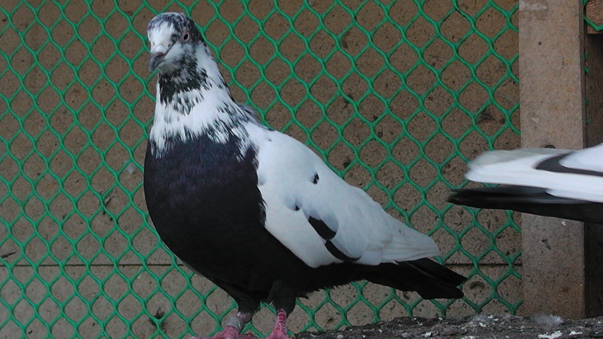 СВ 24.10.2013г. 077