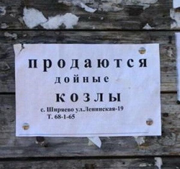 podborka 72