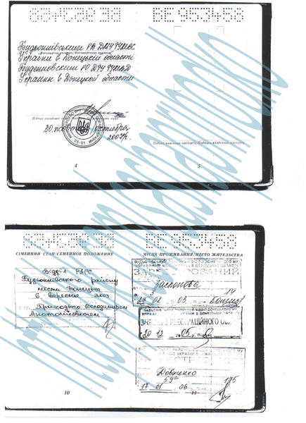 паспорт 2