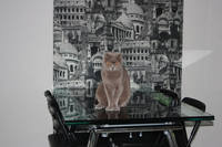 getImage (2)
