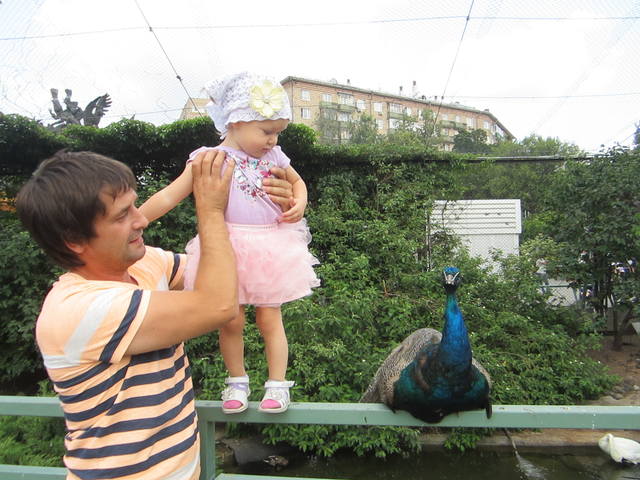 VFL.RU - ваш фотохостинг