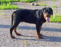 VFL.RU - ваш фотохостинг