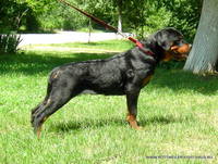 VFL.RU - ваш фотохостинг