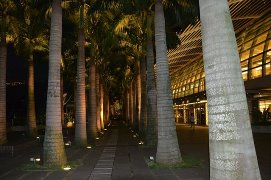 getImage4