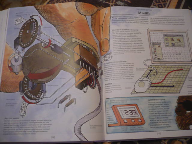 VFL.RU - ваш фотохостинг